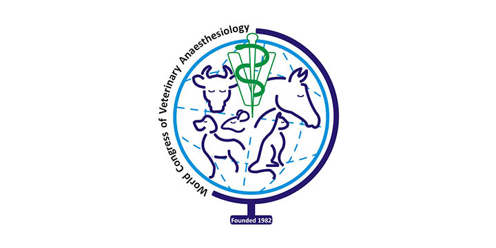 entry image